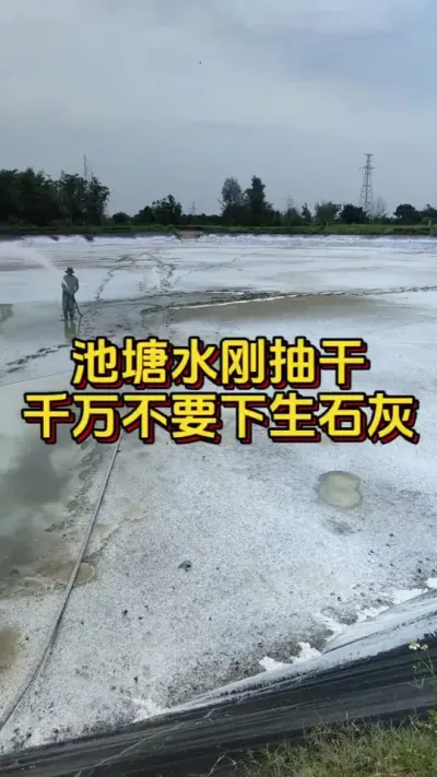 池塘水刚抽干千万不要下生石灰#养虾人 #水产养殖 #水产人 #嘉骏集团 #嘉骏新水产