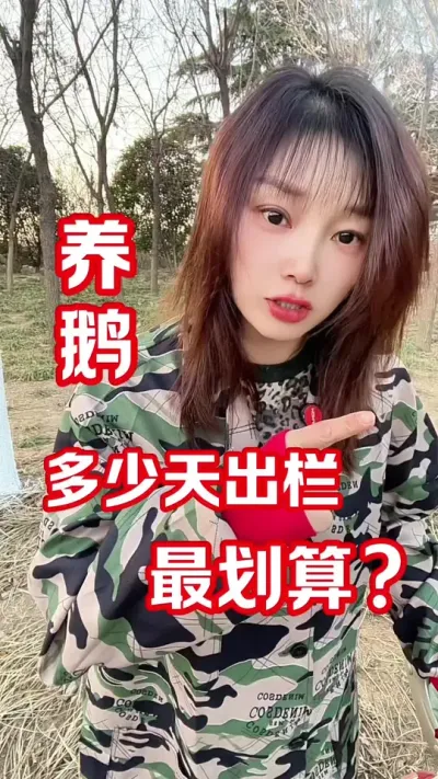 养鹅多少天出栏最划算？#养鹅人 #农村创业养殖 #养鹅技术分享