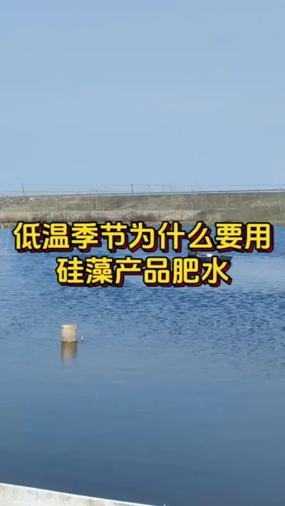 低温季节为什么要用硅藻产品肥水#南美白对虾 #水产人 #小棚养虾 #养虾人 #水产养殖