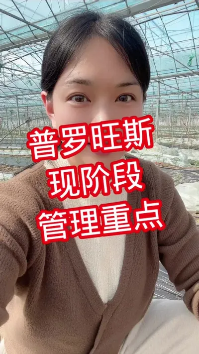 #记录我的种植生活 #西红柿种植 #番茄种植  点个关注 相互学习@抖音小助手