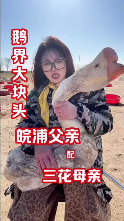还是大品种鹅有优势，定苗就定大品种😏#农村创业养殖 #养鹅人 #鹅鹅鹅 #养鹅