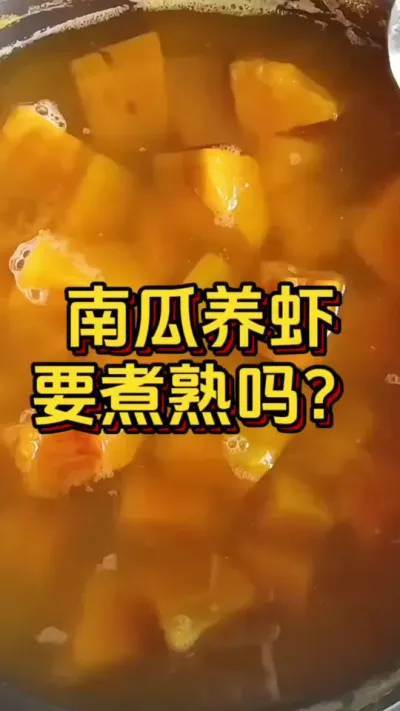 南瓜养虾要煮熟吗#养虾人 #水产养殖 #小棚养虾 #水产人 #南美白对虾