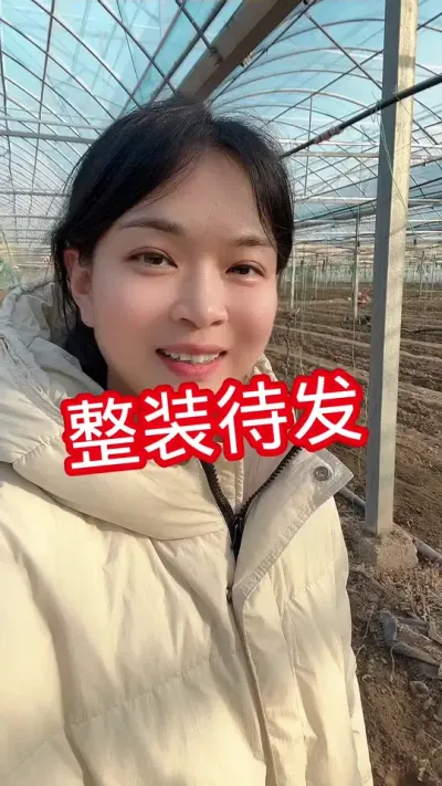 #西红柿种植#记录我的种植生活 #大棚西红柿 点个关注 互相关注吧@抖音小助手