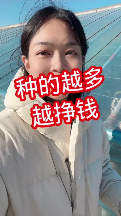 #西红柿种植 #西红柿#赚钱不易  关注我 互相学习吧@抖音小助手
