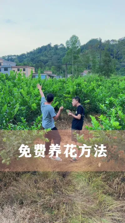 有了这个方法，喜欢的花都不用买#花卉绿植 #养花小知识 #爱生活爱养花 #分享养花经验