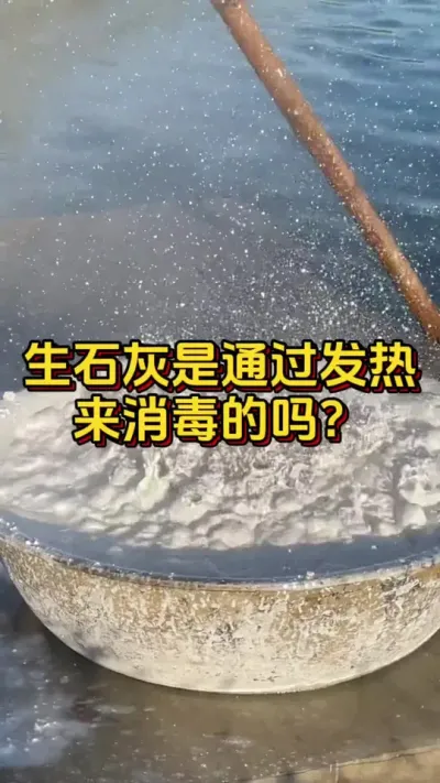 生石灰是通过发热来消毒的吗#养虾人 #水产人 #水产养殖 #嘉骏新水产 #嘉骏集团