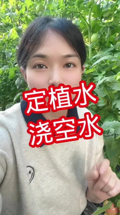 #西红柿种植#记录我的种植生活 #定植水 点个关注 互相学习吧@抖音小助手