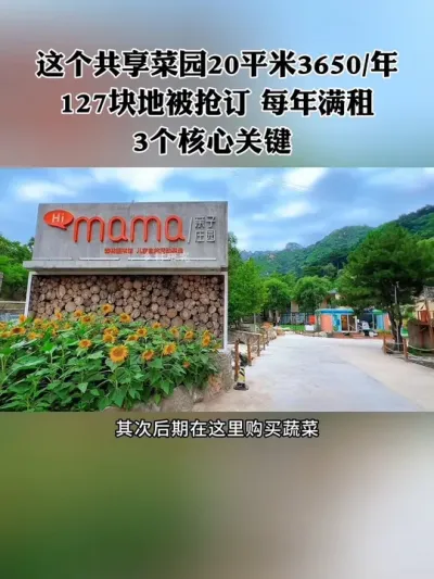 共享菜园能不能赚钱，顶层设计玩法是关键！这个农场的模式就很值得借鉴，20平米3650一年，127块地每年满租，看他们是怎么玩的？#共享菜园 #农场 #新农人 #休闲农业 #共享农场