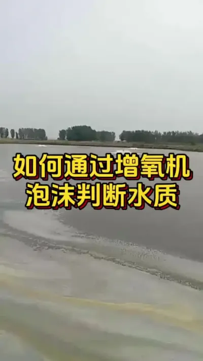 如何通过增氧机泡沫判断水质#水产人 #小棚养虾 #南美白对虾 #养虾人 #嘉骏新水产