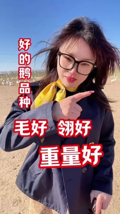 养鹅选择什么品种赚钱&hellip;&hellip;#养鹅人 #农村创业养殖 #鹅鹅鹅