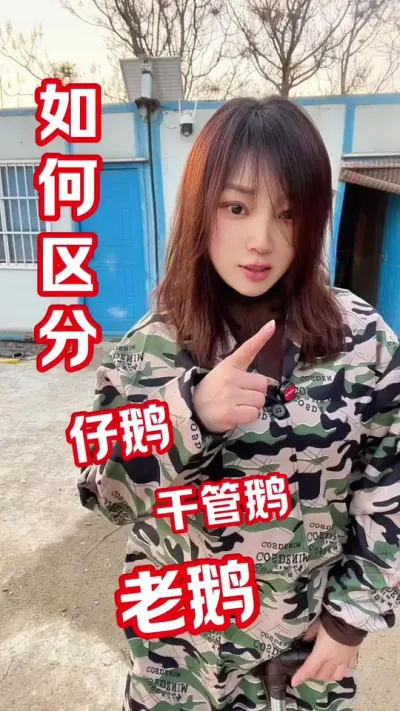 什么是干管鹅？#养鹅人 #养鹅#农村创业养殖 #养鹅技术分享