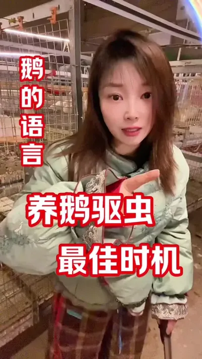 鹅啥时候驱虫？#农村创业养殖 #养鹅 #养鹅技术分享