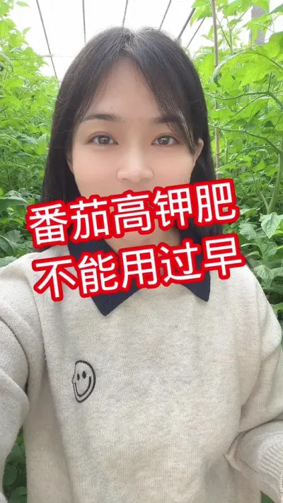 #西红柿种植 #番茄种植 @抖音小助手 关注我，互相学习吧。