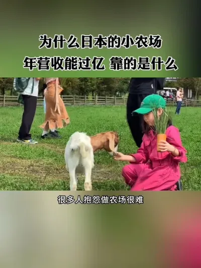 很多人抱怨做农场很难，但在台湾和日本，有很多小农场年营收甚至能过亿，他们靠的是什么？#三农 #农场 #休闲农业 #新农人 #农庄