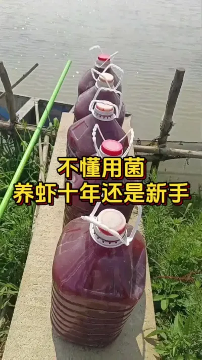 不懂用菌，养虾十年还是新手#水产养殖 #水产人 #对虾养殖 #嘉骏集团 #嘉骏新水产