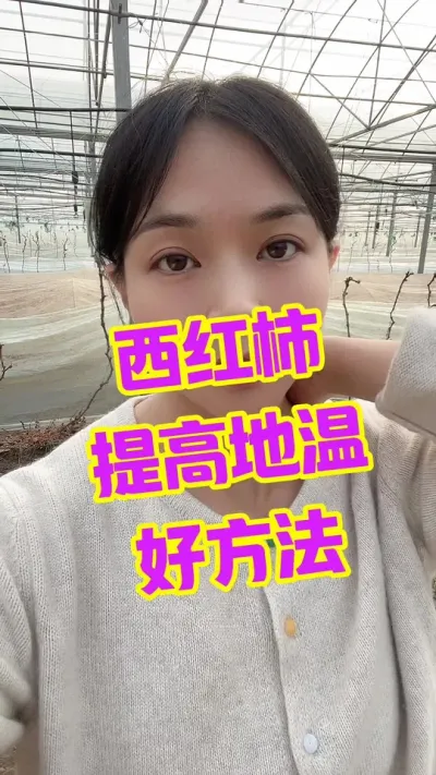 #西红柿种植#记录我的种植生活 #大棚西红柿 点个关注 相互学习吧@抖音小助手