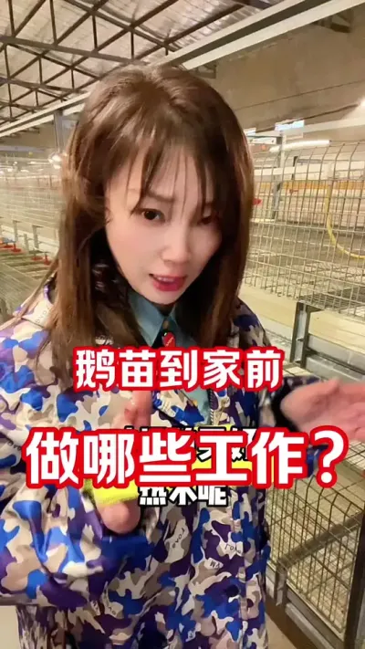 鹅苗到家前做哪些工作#农村创业养殖 #养鹅人 #养鹅技术分享