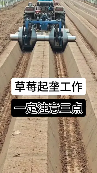 草莓起垄工作一定注意三点#草莓种植管理技术和方法 #分享农业知识帮农民增产增收 #草莓种植 #草莓种植方法 #服务三农支持三农