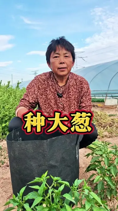 现在正是种大葱的时候，家里没地方的可以尝试一下袋子里面花盆里面种植！#三农 #大葱 #种大葱 #种植小技巧 #蔬菜杨大姐 @DOU+上热门 @抖音创作小助手 @DOU+小助手