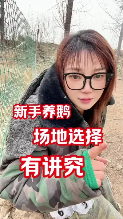 养鹅场地选择大有学问🤣#农村创业养殖 #养鹅人#每天分享养殖技术和经验