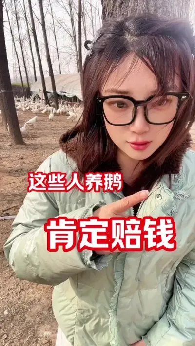 这些人养鹅肯定赔钱&hellip;&hellip;#农村创业养殖 #养鹅人 #鹅苗