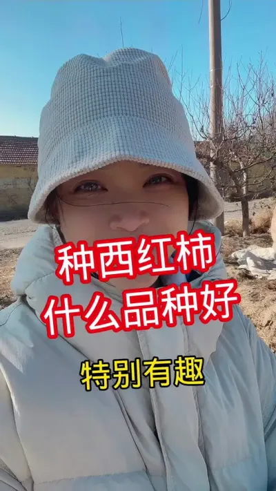#大棚种植 #记录我的种植生活 #西红柿种植  点个关注 互相学习@抖音小助手