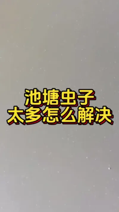池塘虫子太多怎么解决#水产人 #小棚养虾 #养虾人 #南美白对虾 #嘉骏新水产