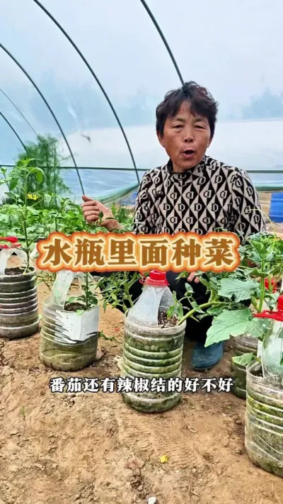 矿泉水瓶种菜#三农 #蔬菜种植 #种植小技巧 #农村小型蔬菜种植神器 #蔬菜杨大姐 @DOU+上热门 @DOU+小助手 @抖音创作小助手