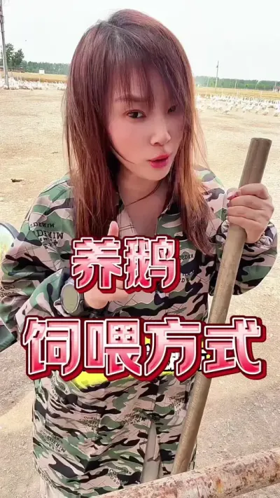 养鹅的前期 中期 后期  饲料怎么配比#养鹅人#养鹅#农村创业养殖