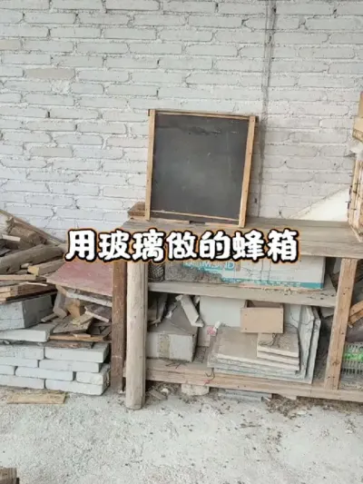 玻璃蜂箱 用玻璃做的蜂箱能养蜂吗#蜜蜂养殖 #我的乡村生活 #土养箱
