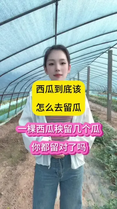 西瓜留瓜你都留对了吗？