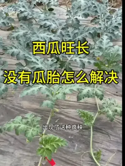 #抖音助农 #抖音助农扶农 #助农扶农