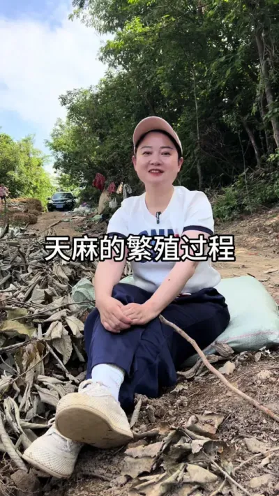 天麻的繁殖过程 #抖音新农人 #技术分享#新农人 #中药材种植基地 @DOU+小助手