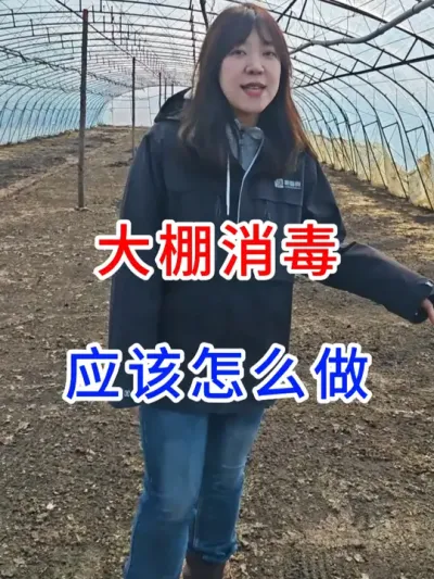 大棚消毒，应该怎么做？ #增产增收  #现代农业技术  #分享农业知识帮农产增收  #农业种植小技巧