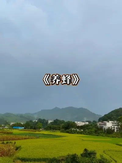 养蜂 养蜂的一些往事#养蜜蜂 #风吹哪页读哪页 #我的乡村生活