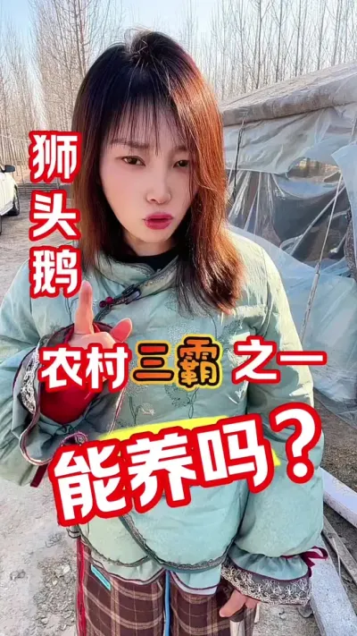 &ldquo;三霸之一&rdquo;狮头鹅#养鹅人#农村创业养殖