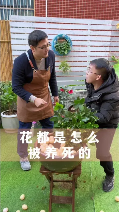 买回来的花都是这样被养死的，看看你中了哪一招#花卉绿植 #养花小知识 #爱生活爱养花