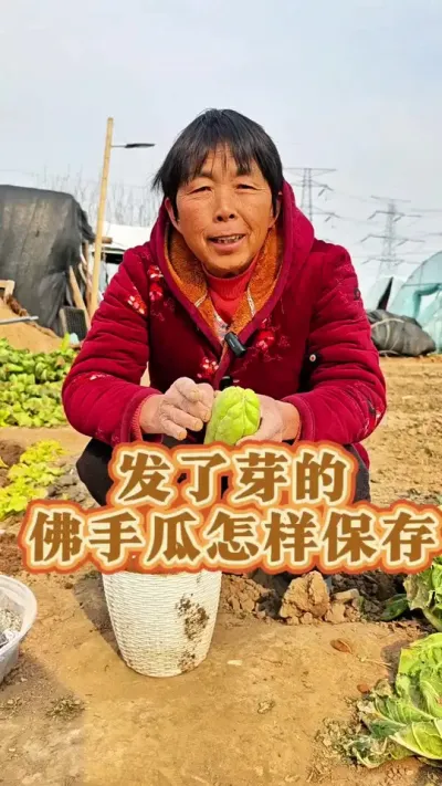 你有没有存放佛手瓜种子？发了芽的佛手瓜该怎样保存呢？#佛手瓜 #佛手瓜种子 #佛手瓜种植技术和方法 #三农 #三农流量扶持计划 @DOU+上热门 @抖音创作小助手 @DOU+小助手