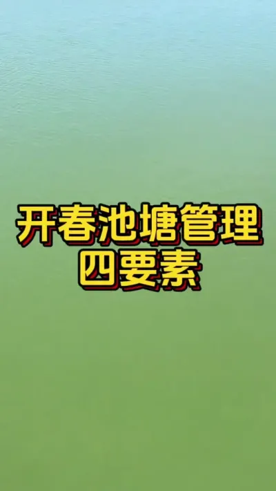 开春池塘管理四要素#水产养殖 #水产人 #养虾人 #嘉骏新水产 #南美白对虾
