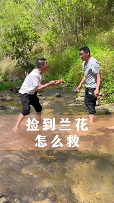 户外捡到养残的兰花怎么救活#兰花 #花卉绿植 #养花小知识