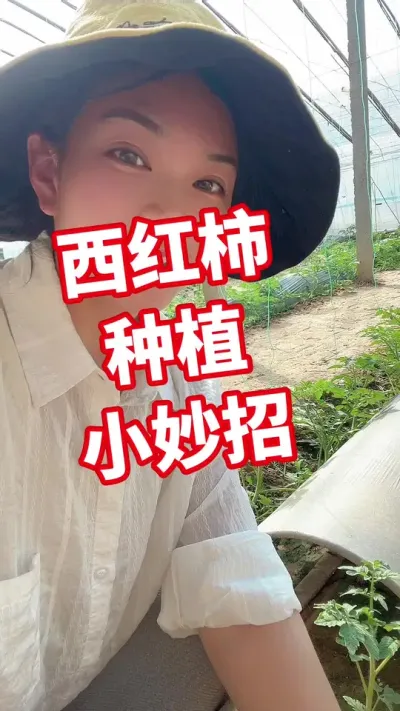 #西红柿种植 #记录我的种植生活  点个关注 互相关注吧@抖音小助手