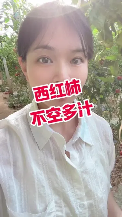 #记录我的种植生活 #大棚种植 #番茄种植  点个关注吧@抖音小助手