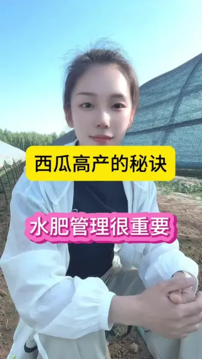 #抖音助农 #抖音扶持三农 #西瓜技术管理