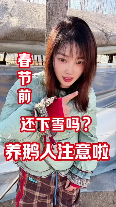 冬天不下雪？对养鹅有影响吗？#养鹅人#农村创业养殖#养鹅技术分享