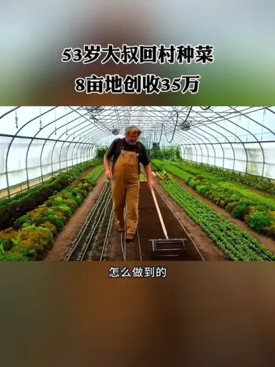53岁大叔回村种菜，8亩地一年创收35万美元，怎么做到的？#休闲农业 #新农人 #农场 #三农 #农庄