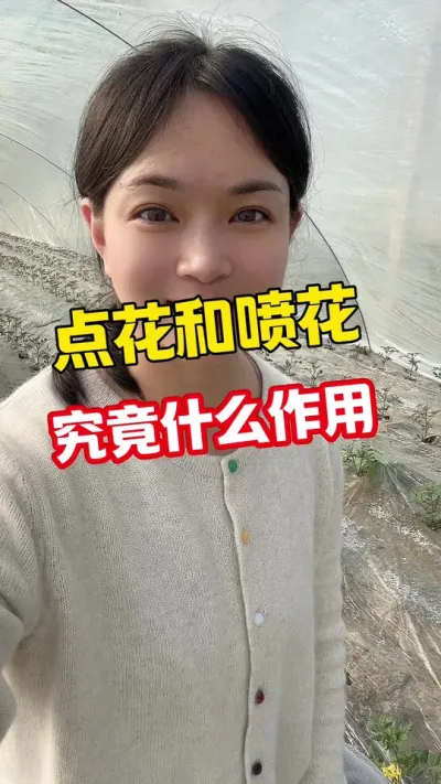 #西红柿种植 #记录我的种植生活 #大棚西红柿 点个关注#点花 互相学习吧@抖音小助手
