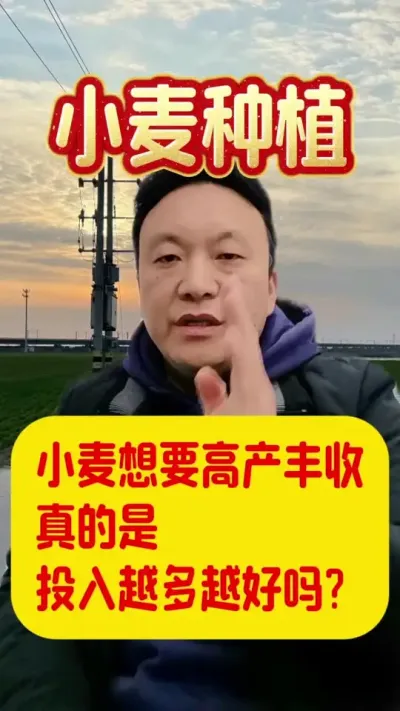 小麦返青期的第一遍药能不能起作用？#小麦种植 #小麦一喷三防药 #打农药的注意事项