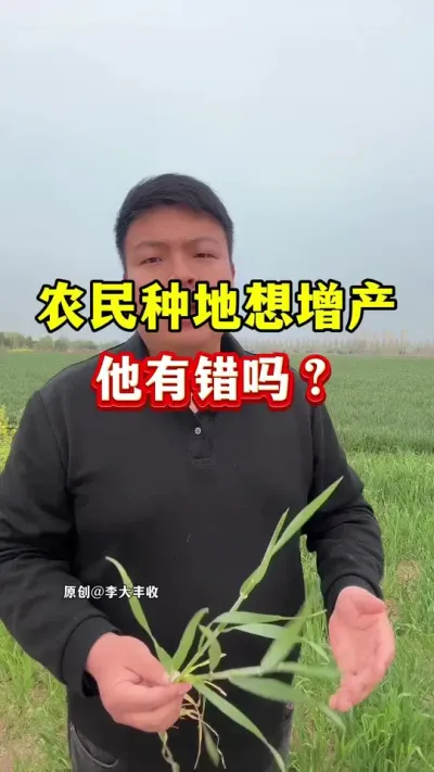 农民种地想增产，他有错吗？ #农业种植 #农民种地不容易 #小麦种植 #小麦膨大剂