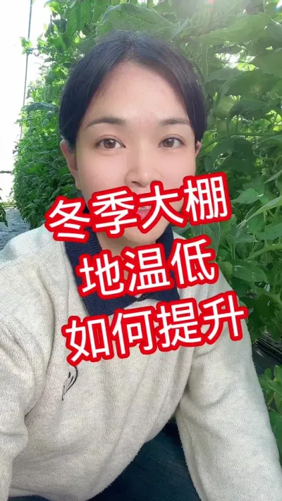 #提地温#西红柿种植#我的种植生活  点个关注 互相学习吧 @抖音小助手
