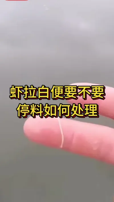 #嘉骏新水产#嘉骏集团#南美白对虾养殖#李新聊对虾 虾拉白便要不要停料如果处理